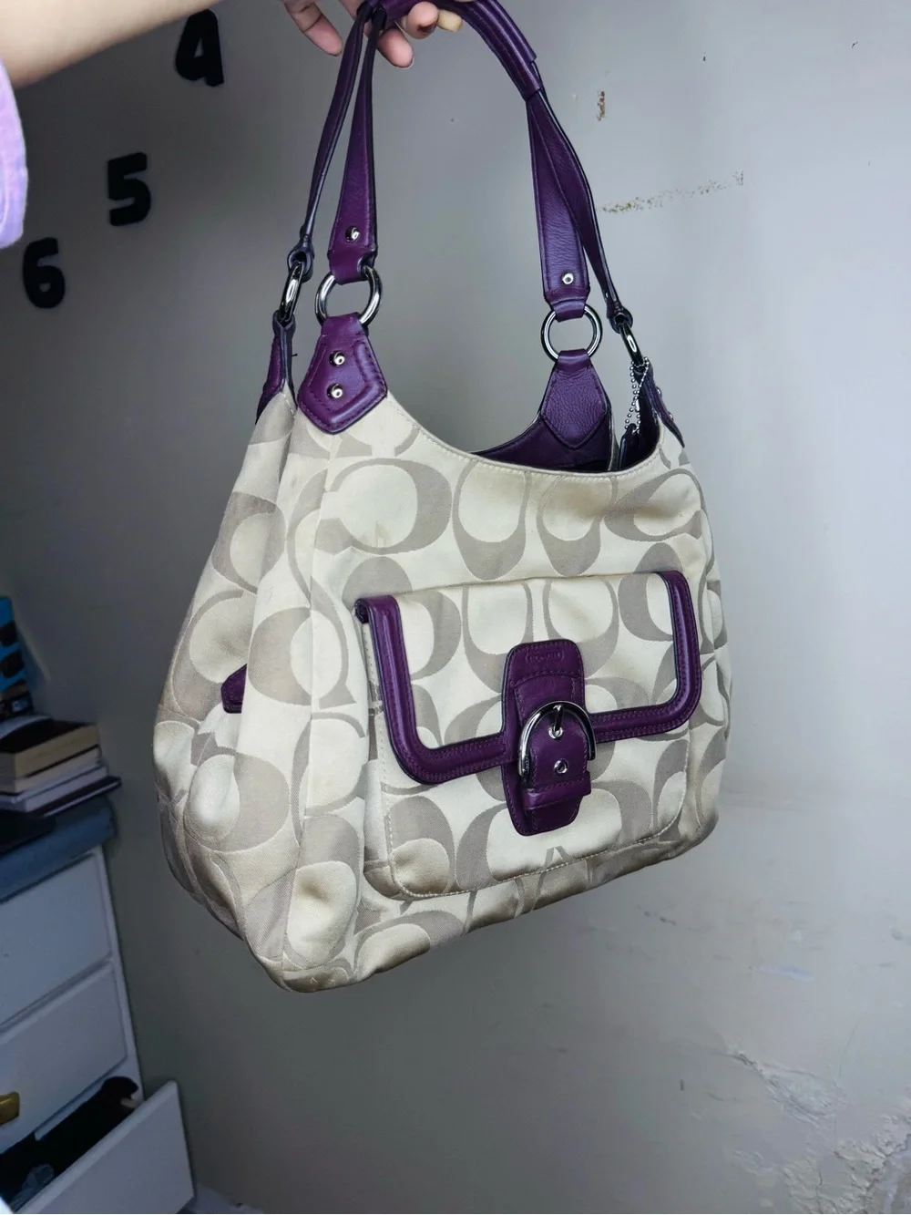 Coach Campbell Signature Hobo Bag